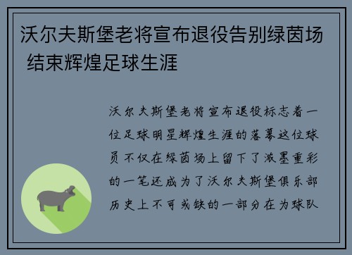 沃尔夫斯堡老将宣布退役告别绿茵场 结束辉煌足球生涯