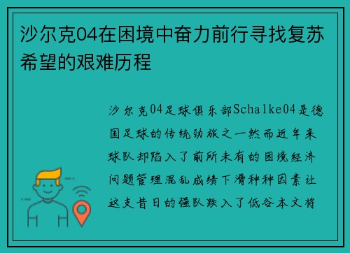 沙尔克04在困境中奋力前行寻找复苏希望的艰难历程