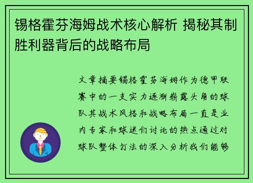 锡格霍芬海姆战术核心解析 揭秘其制胜利器背后的战略布局